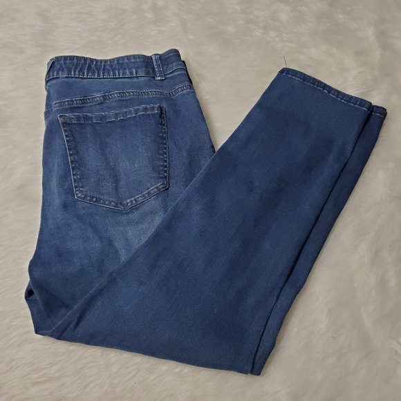 Westbound Denim Plus The Fit Formula Slim Jeans, 16 - Picture 2 of 5